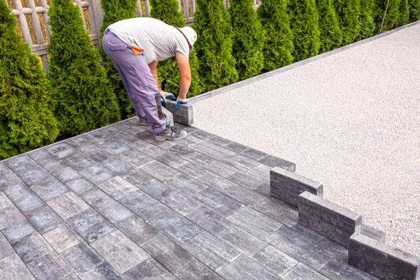 Best Driveway Repair Near Me  in Fallon, NV